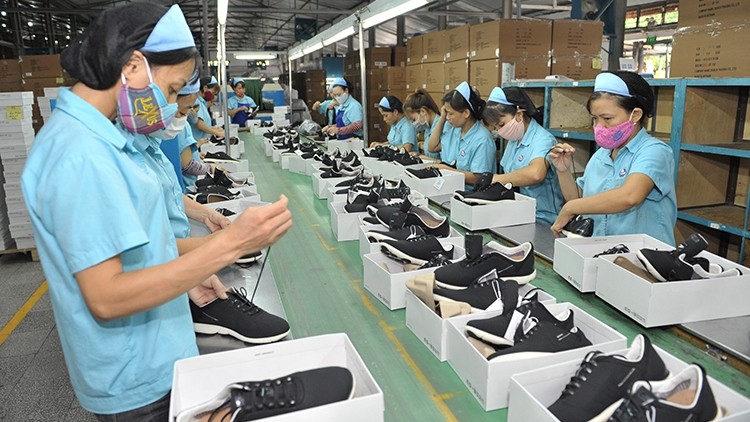 Footwear is among Vietnam's main export product to Uruguay. (Illustrative image)
