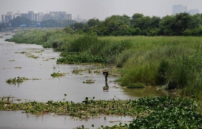 An official said that the Yamuna river's water level is expected to rise further (Source: IndiaTimes)