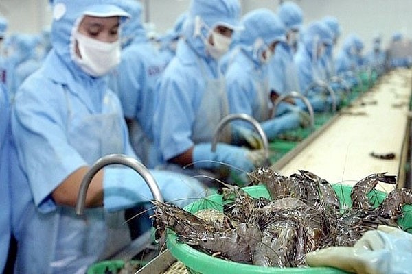 The zero per cent tax is great news for the Vietnamese shrimp sector. (Photo: enternews.vn)