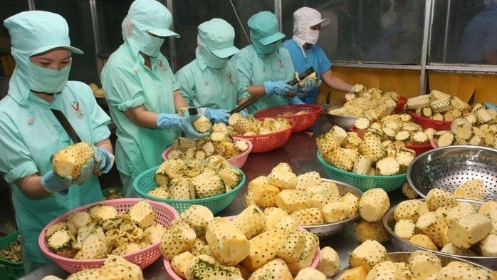 Vietnam's agricultural exports in the January-August period went up 1.6%. (Photo: VnEconomy)