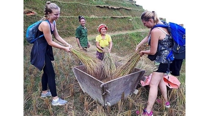 Foreign tourists experience farming activities with local people in Ha Giang province. (Photo: NDO/Linh Phan)
