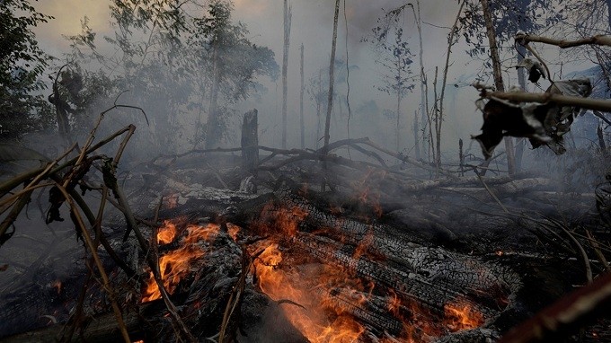 A fire burns a tract of Amazon jungle as it is cleared by loggers and farmers near Porto Velho, Brazil August 27, 2019. (Photo: Reuters)
