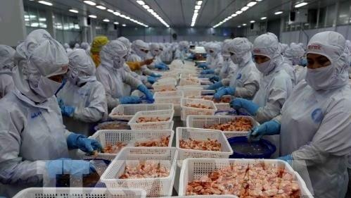 Shrimps and catfish remained Vietnam’s main seafood exports.