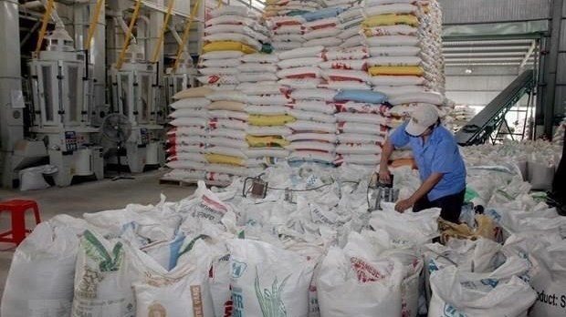 Eight-month rice exports reach nearly US$2 billion (Photo: VNA)
