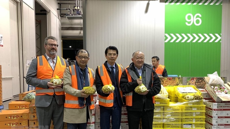 In nearly one hour after hitting the shelves, more than 500kg of imported fresh longan were sold to retailers. 