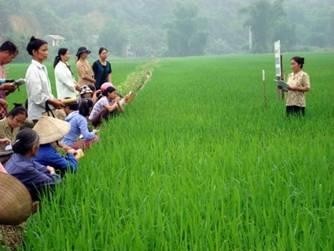 Rice gene resource management project approved