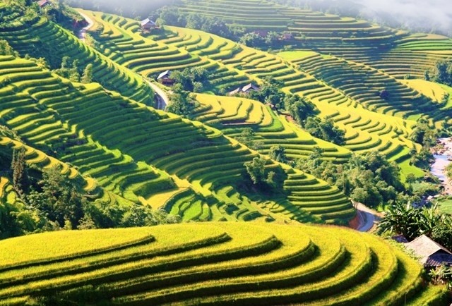There are 1,380 terraced fields in 11 communes in Hoang Su Phi district, which were recognised as a national heritage site.