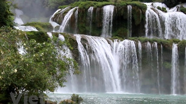 Ban Gioc is the largest natural waterfall in the Southeast Asia. (Photo: VNA)