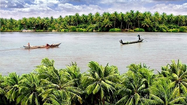 The beauty of Ben Tre – the land of coconut – is always attractive to visitors.