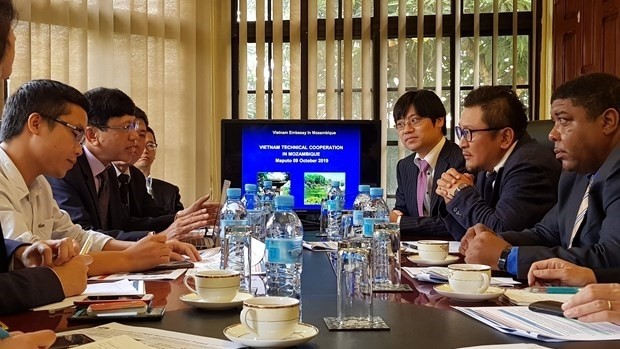 Vietnamese, Japanese firms partner to support Mozambique’s development