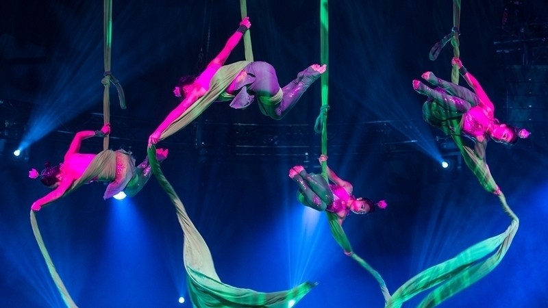 A performance at the Hanoi International Circus Festival