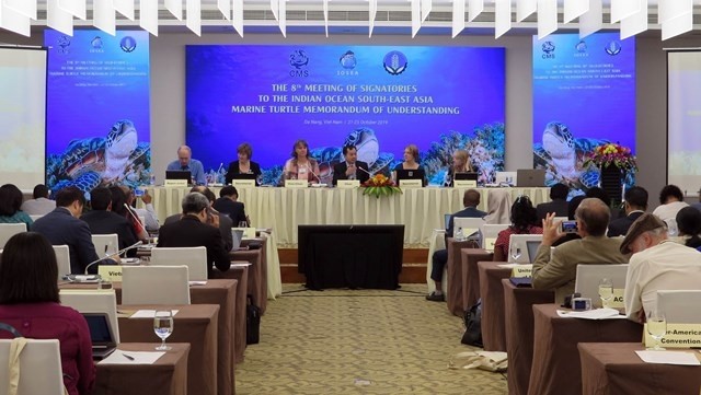 The 8th Meeting of Signatories to The Indian Ocean - Southeast Asia (IOSEA) Marine Turtle Memorandum of Understanding in Da Nang city on October 21. (Photo: VNA)