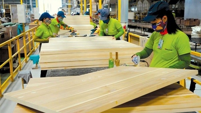 The timber and forestry sector is confident of gaining US$11 billion in export revenue in 2019. (Photo: danviet.vn)