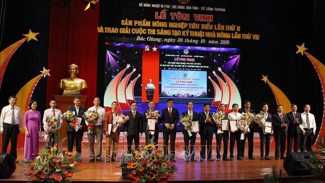 The most outstanding participants to the eighth provincial farmers’ technical innovation contest received the awards. (Photo: VNA)