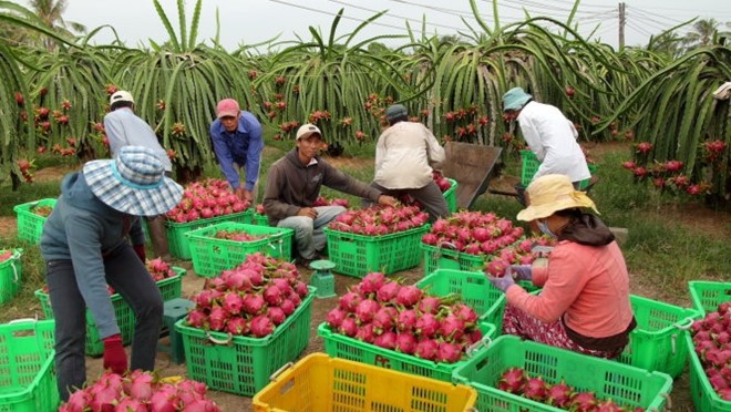 Agro-forestry- fishery sector posts US$8.8 billion trade surplus