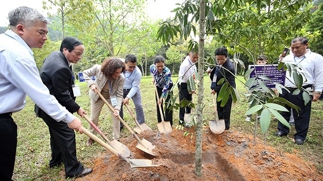 International delegates attend a tree planting festival in the northern province of Phu Tho. (Photo: The Tran)