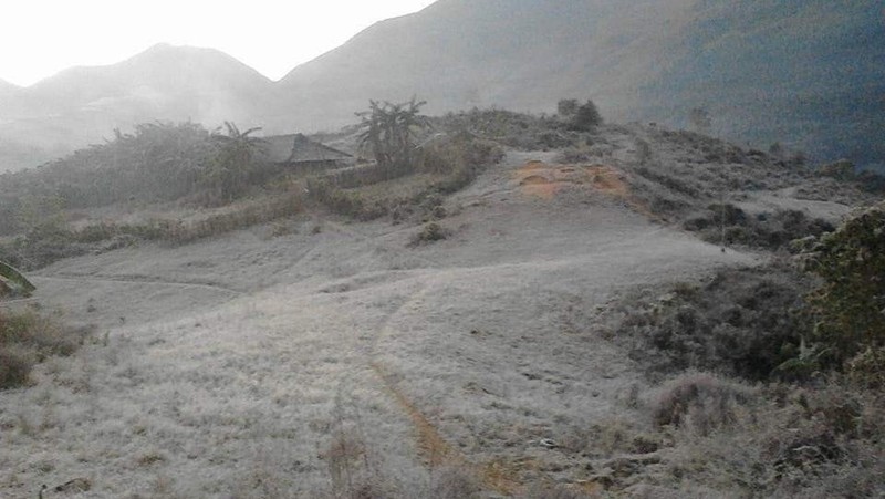 Frost appears in the high mountains in Cao Bang province. (Photo: VOV)