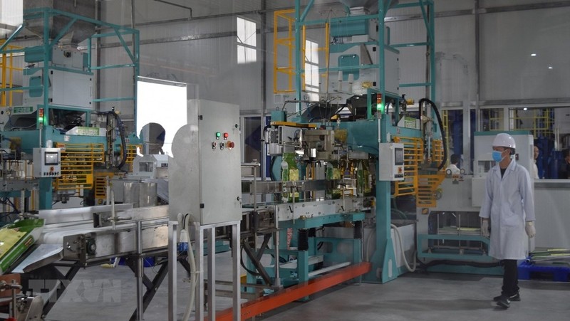 The modern rice processing line at the centre. (Photo: VNA)