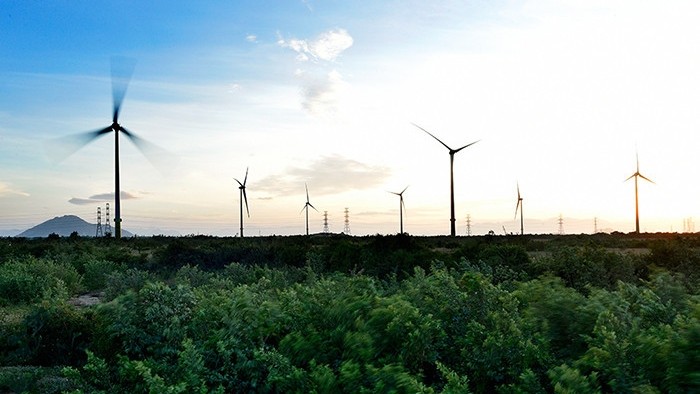A wind power project run by Trungnam Group in Ninh Thuan province.