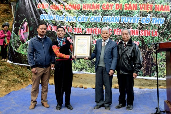 A ceremony to receive the title "Heritage Tree" took place under an ancient tea tree. (Photo:vacne.org.vn)