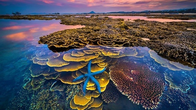 The photo ’Colours of the Sea’ by Tran Bao Hoa wins top prize at the national tourism art photography contest 2019