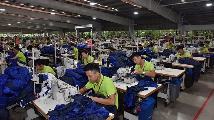 A garment factory in the northern province of Thai Binh (Photo: Duy Linh)
