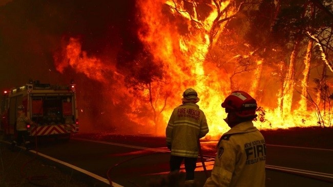 Australian bushfires ease, promise reprieve to build defences