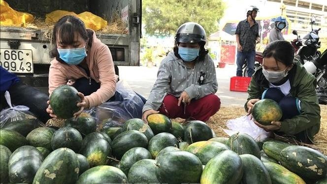Students buy watermelon to support growers in Soc Trang province. (Photo: VNA)