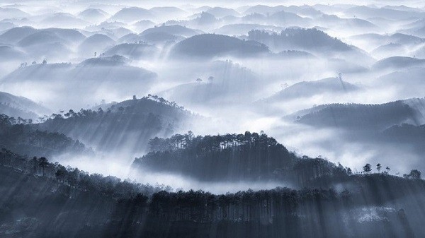 ‘Early Fog’ photo by Cao Ky Nhan 