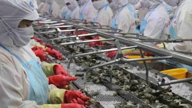 Vietnamese shrimp exports posted a turnover of US$628.6 million in the first three months of this year, a slight increase of 1.8% over the same period in 2019. (Illustrative image)