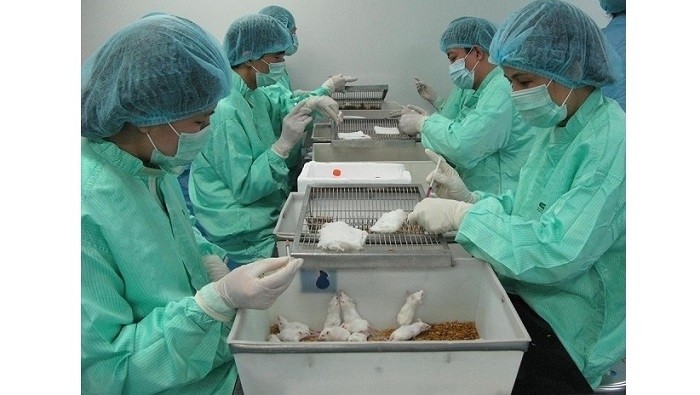 Medical staff test a potential coronavirus vaccine on mice.