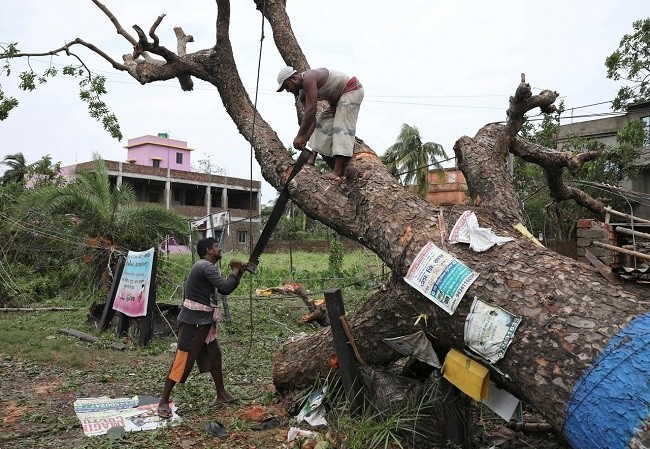 Men cut branches of an uprooted tree in the aftermath of Cyclone Amphan, in South 24 Parganas district in the eastern state of West Bengal, India, May 22, 2020. (Photo: Reuters)