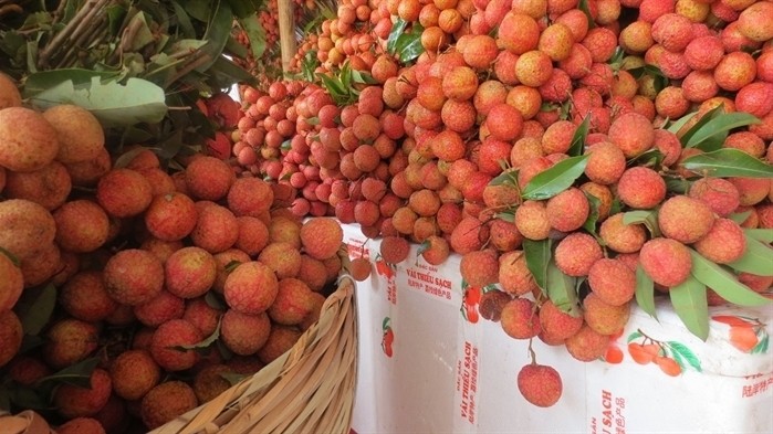 Lychee is one of Vietnam's main exports to China.
