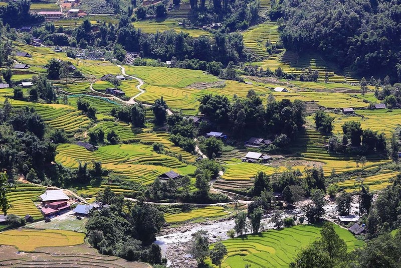 From Sa Pa town down to Provincial Road 152, visitors can hardly walk because of the beauty of the terraced fields and stilted roofs spread across the valley.