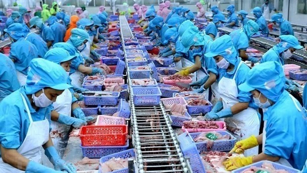 Workers process tra fish for export. This commodity is a major foreign currency earner for Vietnam (Photo: VNA)