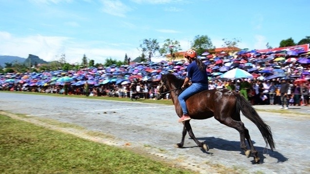 Hoang Thi Tuyet from Ta Ho Village, Ta Chai Commune, Bac Ha District, becomes the first female jockey to compete at the Bac Ha Horse Race.