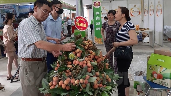 Thanh Ha lychee showcased at a trade fair in Hanoi. (Photo: baohaiduong.vn)