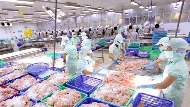 Workers processing pangasius for export at a Cuu Long Fish JSC factory in An Giang Province. (Photo: VNA)