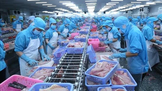 Vietnamese catfish shipments in the first five months of 2020 plunged by 39.1%.