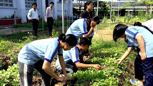 Students of Nguyen Quang Dieu High School for the Gifted in Dong Thap province visit an organic vegetable garden (Photo: dongthap.gov.vn)