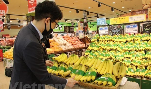 Lo Pang banana sold at Lotte Mart in RoK. (Photo: VNA)
