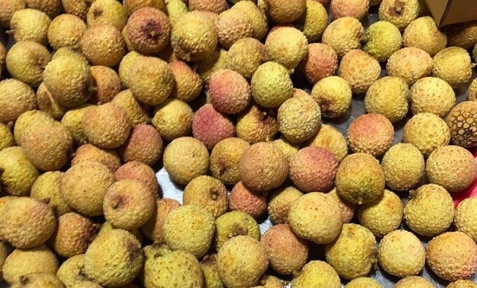 Vietnamese lychee fruits remain fresh when arriving in Japan. (Photo: VOV)