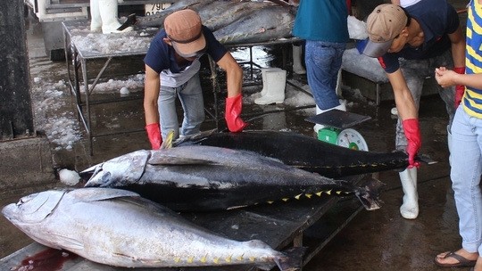 Canned tuna products will be exempted from duty with a quota of 11,500 tonnes per year. (Illustrative image)