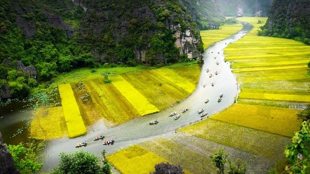 Boats travelling along the Ngo Dong river in Tam Coc, part of the UNESCO-recognised Trang An natural and cultural heritage complex in Ninh Binh province. 