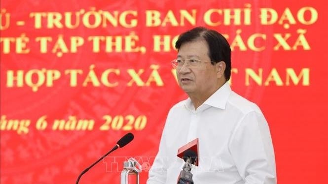 Deputy PM Trinh Dinh Dung at the conference (Photo: VNA)