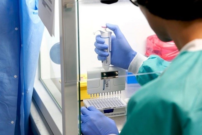 RealTime Laboratories prepares samples for the coronavirus disease (COVID-19) testing with PCR amplification in Carrollton, Texas, US June 24, 2020. (File photo: Reuters)