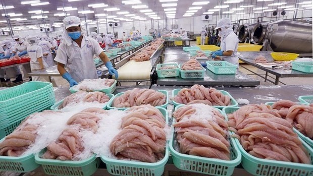 A tra fish processing factory in Can Tho city (Photo: VNA)