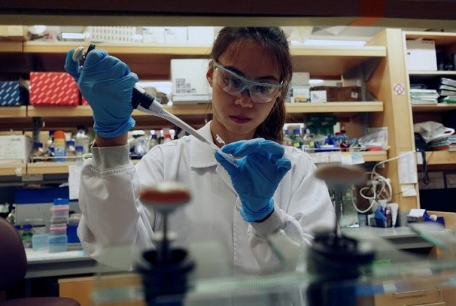 A researcher works in a lab at the Duke-NUS Medical School, which is developing a way to track genetic changes that speed testing vaccines against the coronavirus disease (COVID-19) in Singapore March 23, 2020. (Photo: Reuters) 