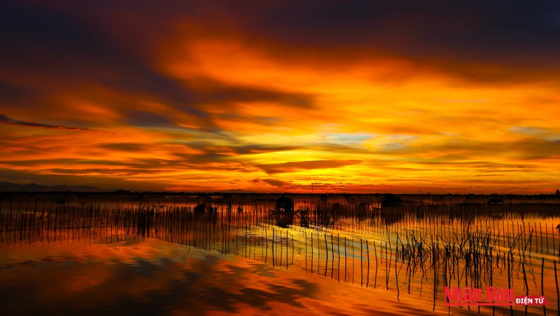 The stunning beauty of Tam Giang Lagoon during sunset. (Photo: NDO/Nam Nguyen)