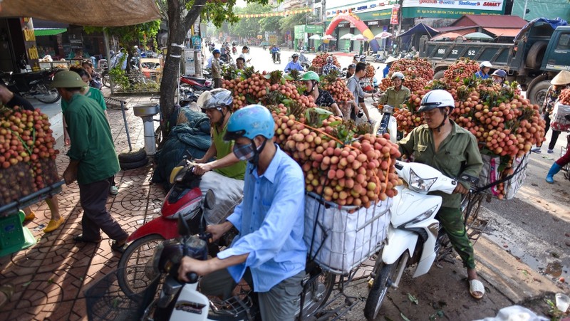 Bac Giang produces nearly 165,000 tonnes of lychees in 2020. (Photo: Dan Tri)